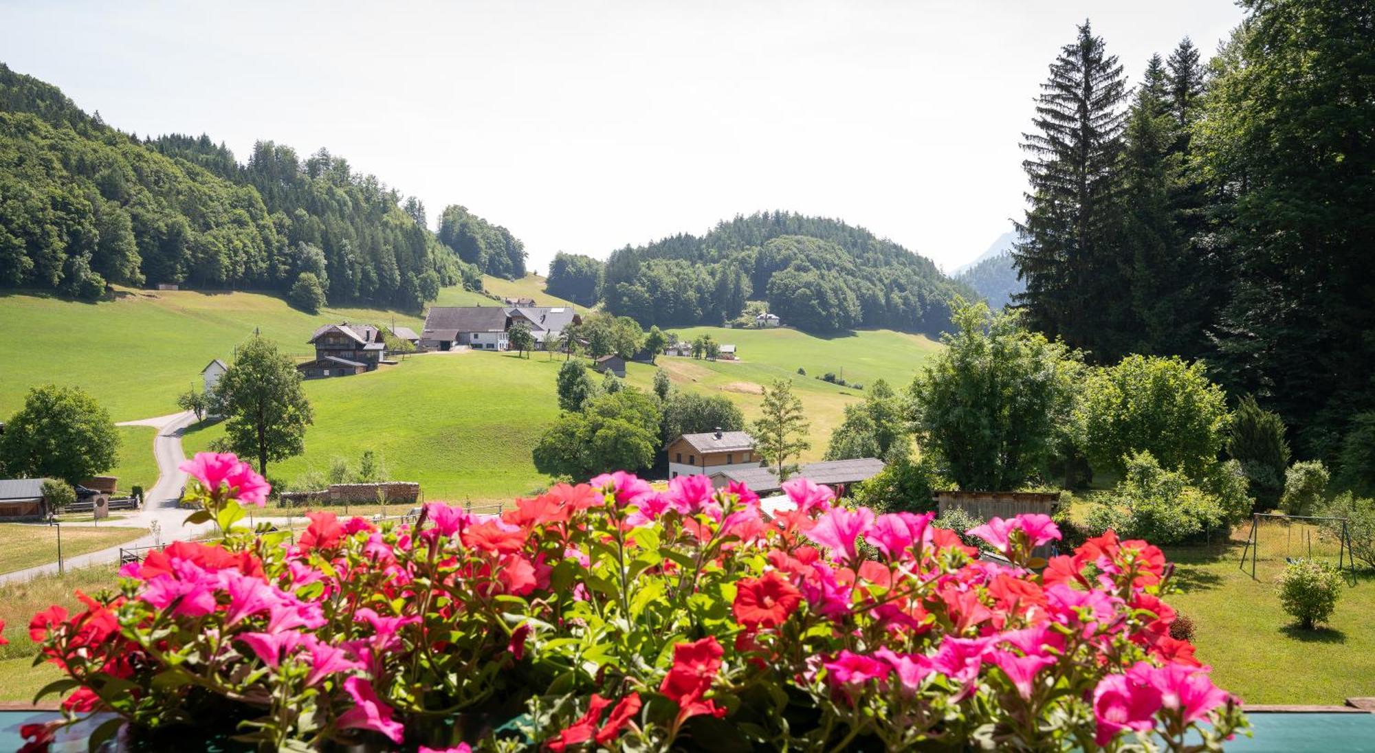 Appartement Scheibling Sankt Wolfgang im Salzkammergut Экстерьер фото
